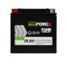 Акумулятор Fiamm AGM Ecoforce 12Ah 200A L+