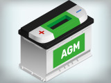 ISTA AGM
