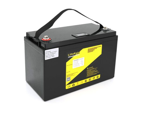  LiitoKala LiFePO4 12V 100Ah